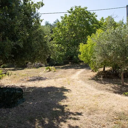 Apricus Domum Διαμέρισμα